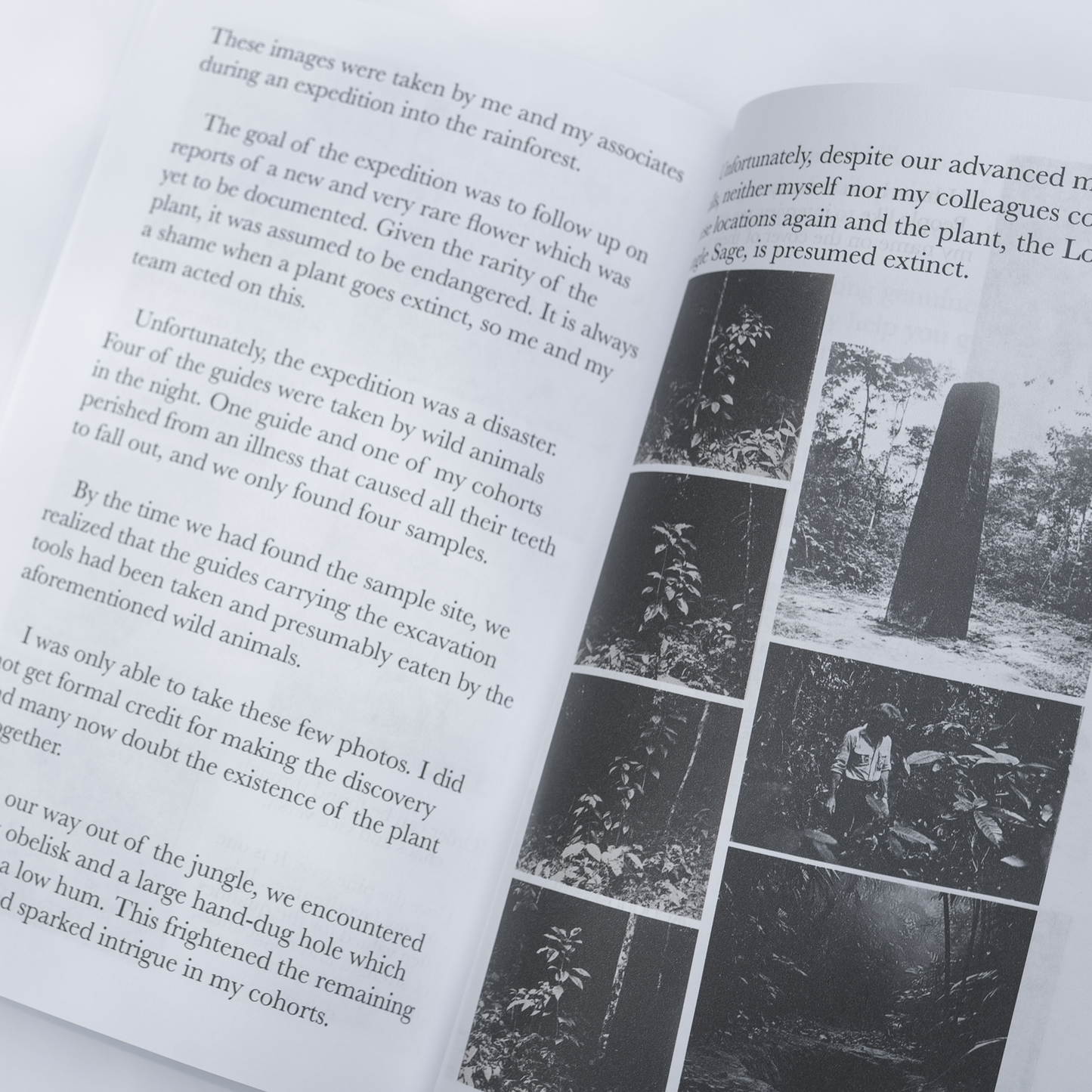 The Ikebana Master - The past, present, and future of the ancient art of flower arranging by Master Kenji Kojima