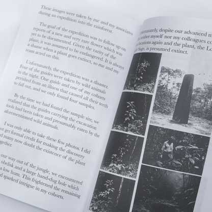The Ikebana Master - The past, present, and future of the ancient art of flower arranging by Master Kenji Kojima