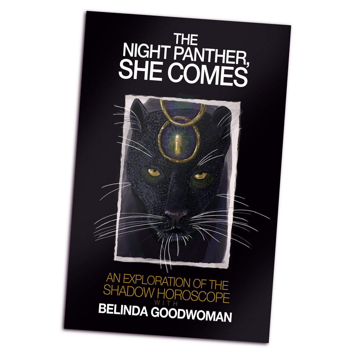 The Night Panther, She Comes by Belinda Goodwoman