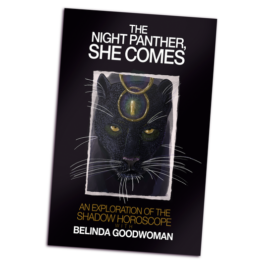 The Night Panther, She Comes by Belinda Goodwoman