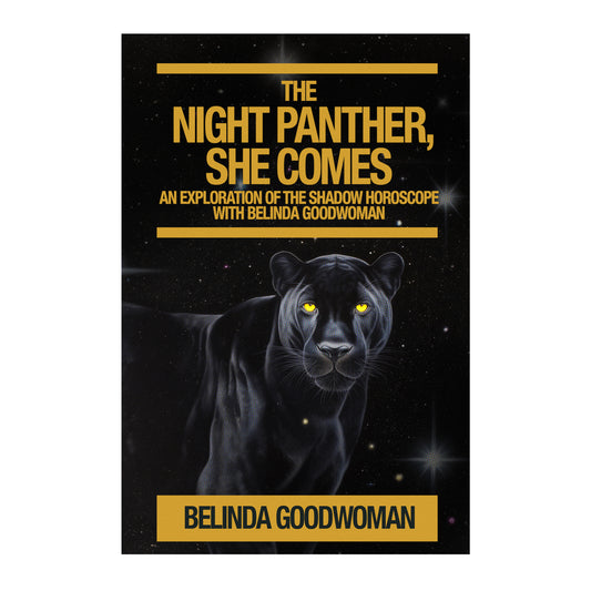 The Night Panther, She Comes by Belinda Goodwoman